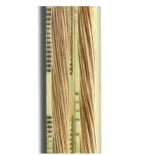 WN Sherbinin 30209 - 250'SPOOL THIN 2 WIRE CLEAR GOLD 22 1/64