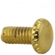 WN Sherbinin 55201 - 1/4" BRASS PLATE SHADE SCREW 8/32